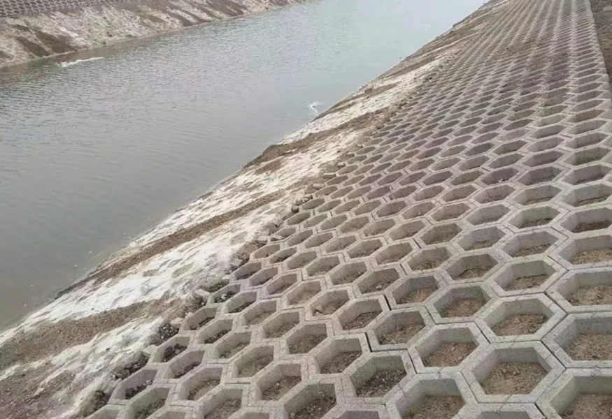 Slope Protection Project of Tangcao Canal (Xinyanhai Road - Xingye Street)
