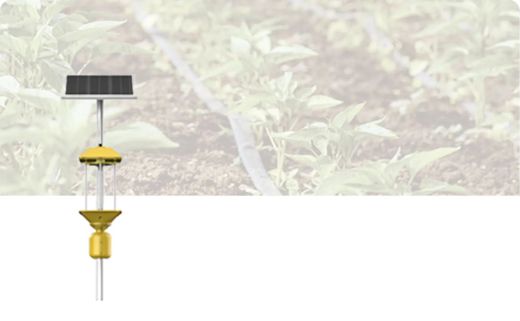 IoT Insecticidal Lamp