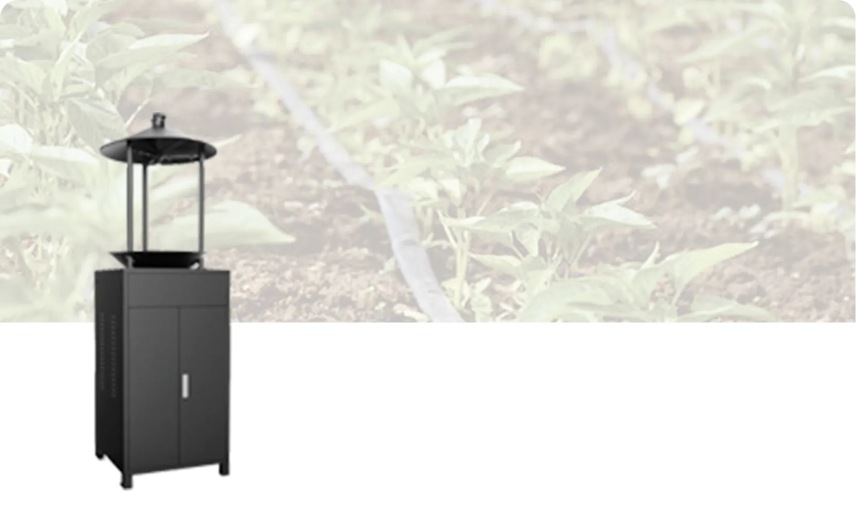 Insect Forecasting Light