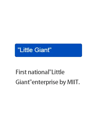 2019.5