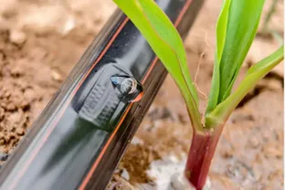 Professional Agricultural Drip Tape Manufacturer Supply