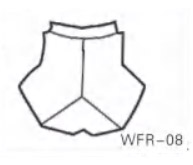 wfr-08.jpg