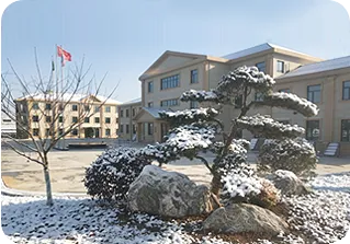 Anhui Langxi Factory