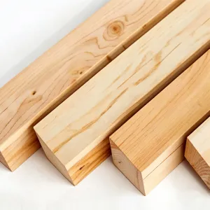 باتن الخشب الحافظ