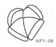 wfy-09.jpg