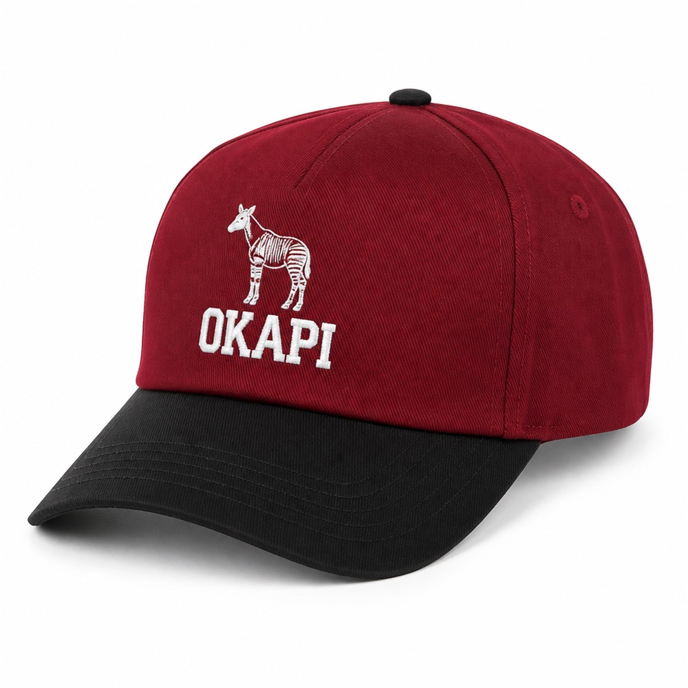 Vintage Washed 5 Panel Hat for a Relaxed Streetwear Vibe
