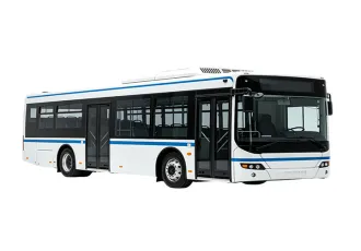 Bus