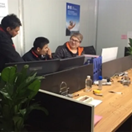 Overseas Customer Discusses Project Details in Our Office