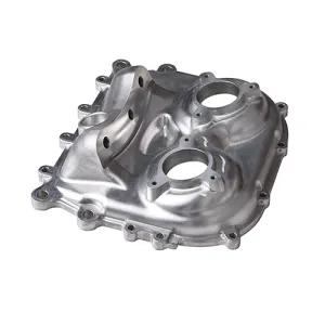 Custom engine casing