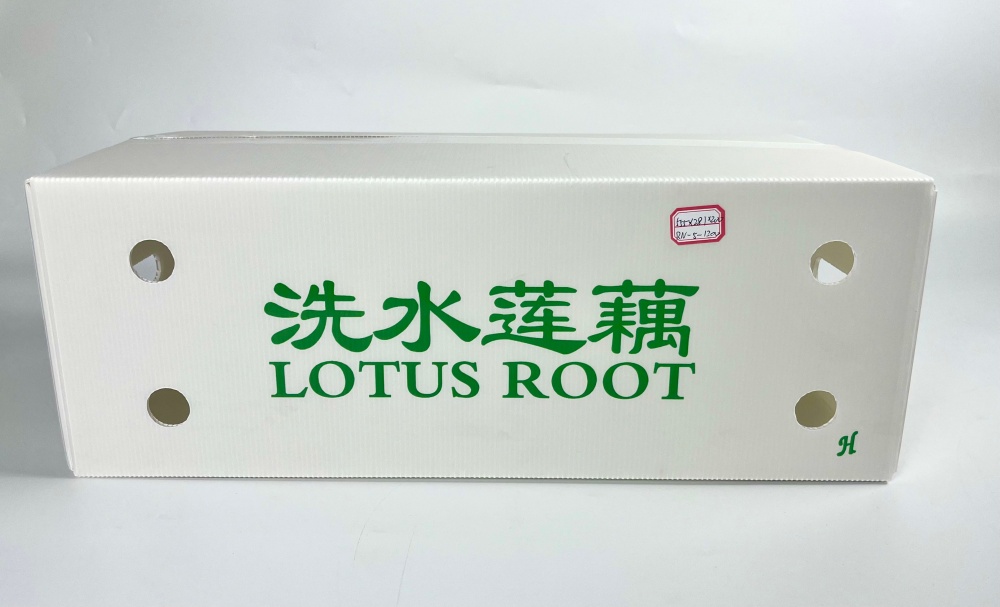 5fc7b97afb2098eb88286be73ffd773b_副本.jpg