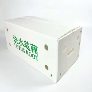 洗水莲藕