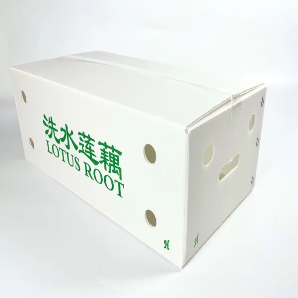 洗水莲藕