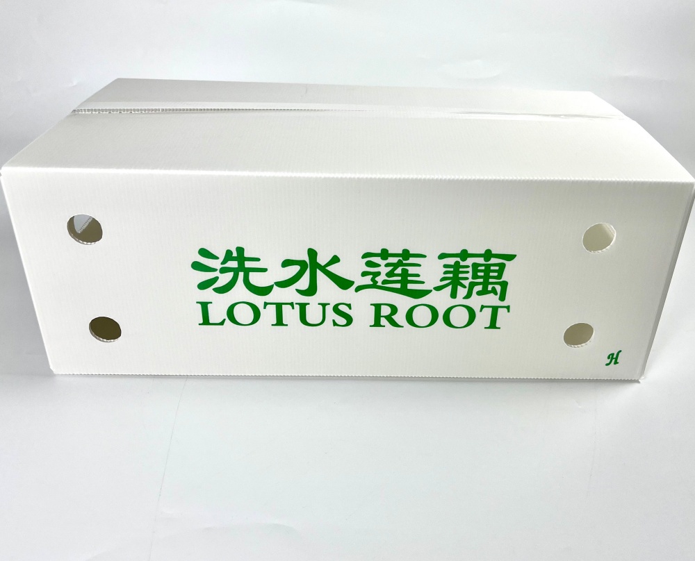 d18cfd4036c1fd5b0103dff7652fb598_副本.jpg