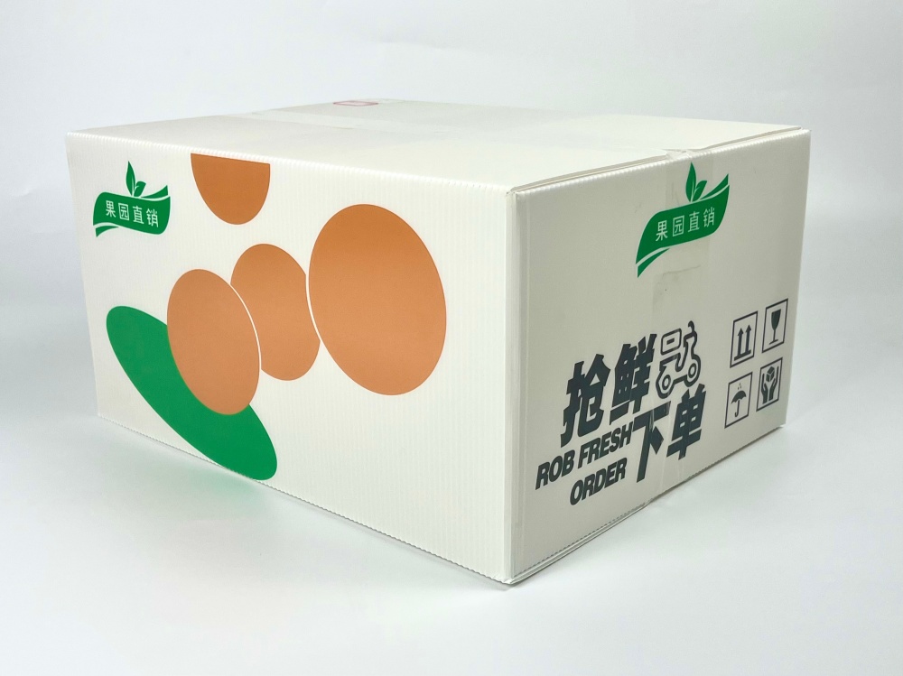 2e3d4e989a262baaf8035018f6df564a_副本.jpg