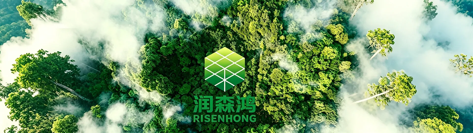 公司介绍s