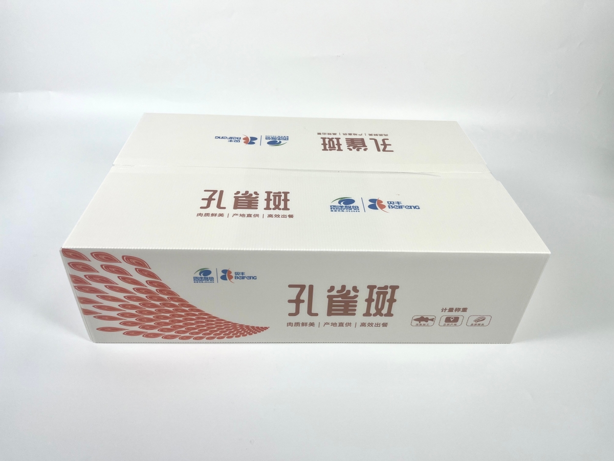 f3065050a2bf6ef2ebc3a6c5fc1386fa.jpg