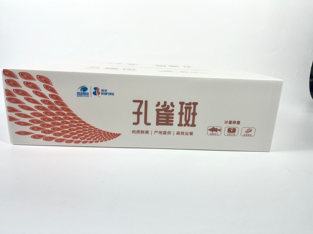 6b5bf1bbbc1e2d7dbcc91856d0bb5bed.jpg
