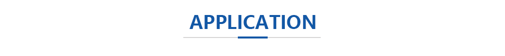 Application Scenario
