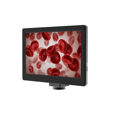 Microscope Accessories