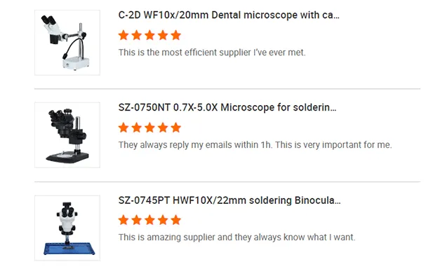 Customer Reviews-5