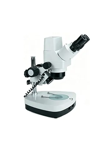 Binocular Microscope Stereo Microscope Camera Microscope