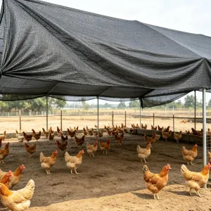 Durable Sunshade Net, Anti-UV for Agriculture & Courtyard