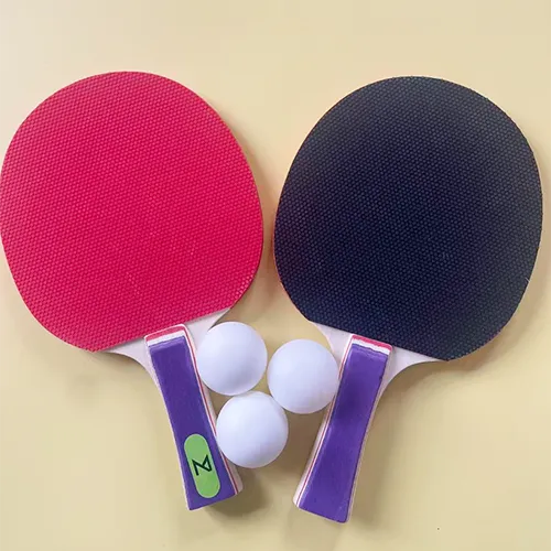 Table Tennis Racket T613