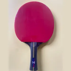 Table Tennis Racket T614