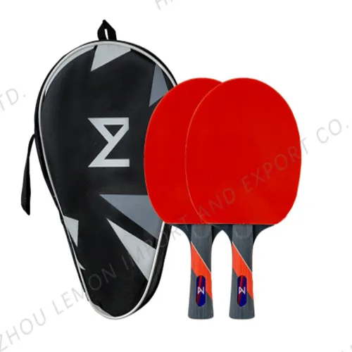 Table Tennis Racket T200