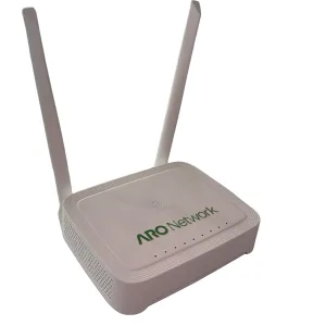 VPN-Ready Router for Secure Internet Access
