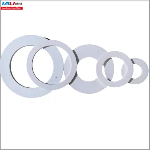 Alumina Ceramic Rings