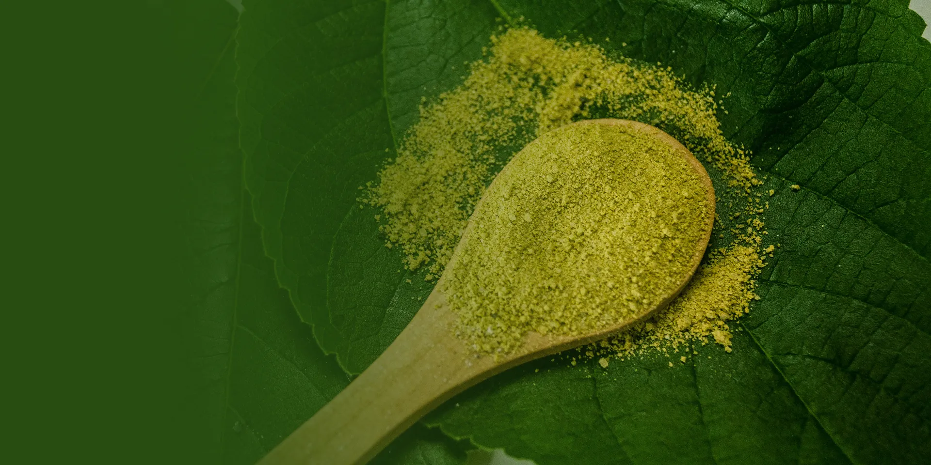 Natural Botanical Ingredients_Botanical Pharmaceutical Raw Materials ...