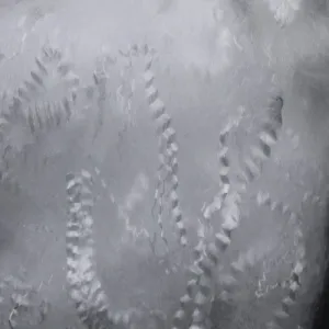 Polypropylene Fiber Reinforcement