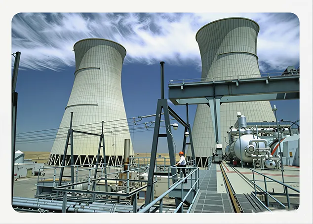 Nuclear Power Industry