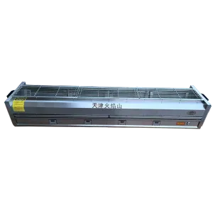 Forno Elettrico A Infrarossi