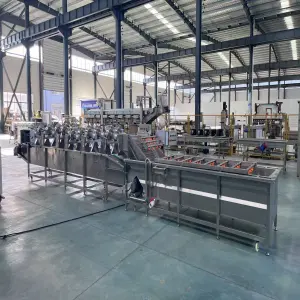 6 متر تجهیزات خشک کن با راندمان بالا برای گیاهان و ادویه جات