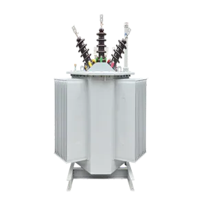 OEM 100 kVA, 200 kVA, 315 kVA oil-immersed double-winding transformers