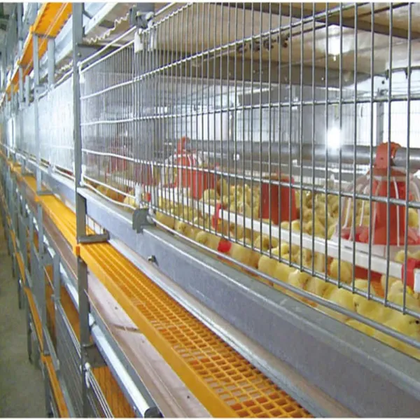 Manual Broiler Cage