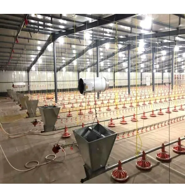 Slatted Floor for Broiler Chickens