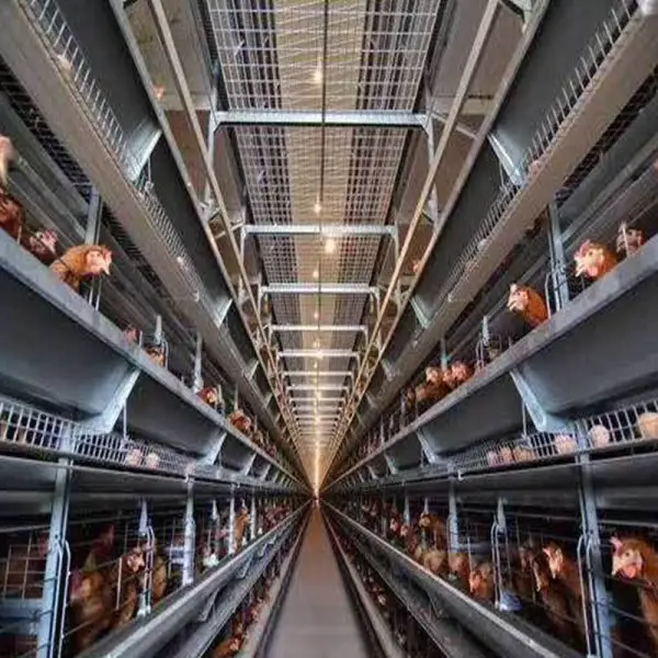 Automatic A Type Layer Cage