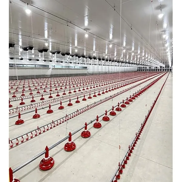 Poultry Floor Raising Equipment