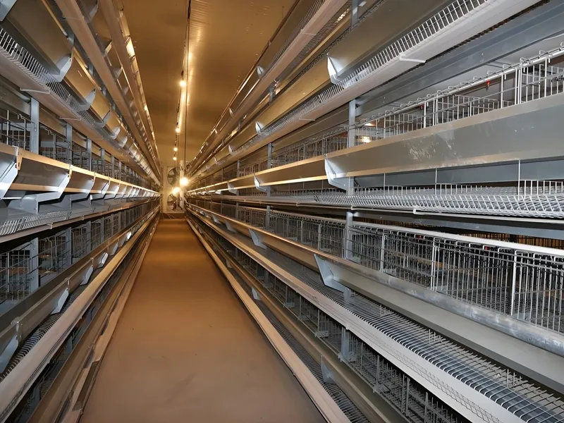 Layer Chicken Rearing Cage