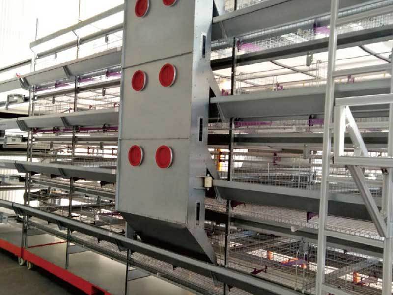 Layer Chicken Cage Equipment for High Egg Yield