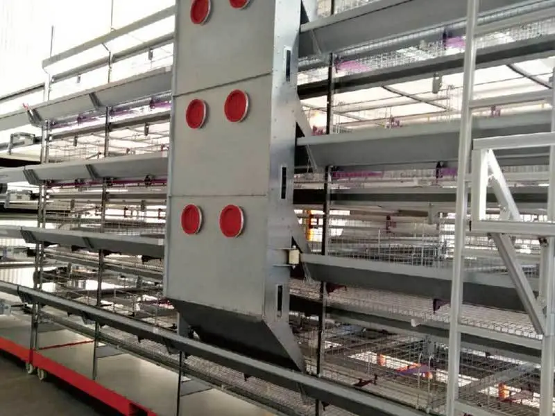 Automatic Layer Pullet Cage