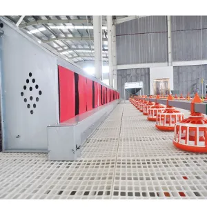 Slatted Floor for Layer Chickens