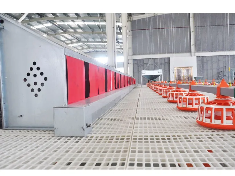 Slatted Floor for Layer Chickens