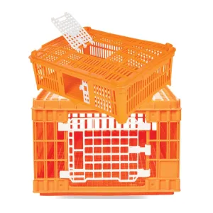Poultry Transport Crates