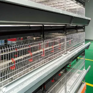 Manual Layer Pullet Cage