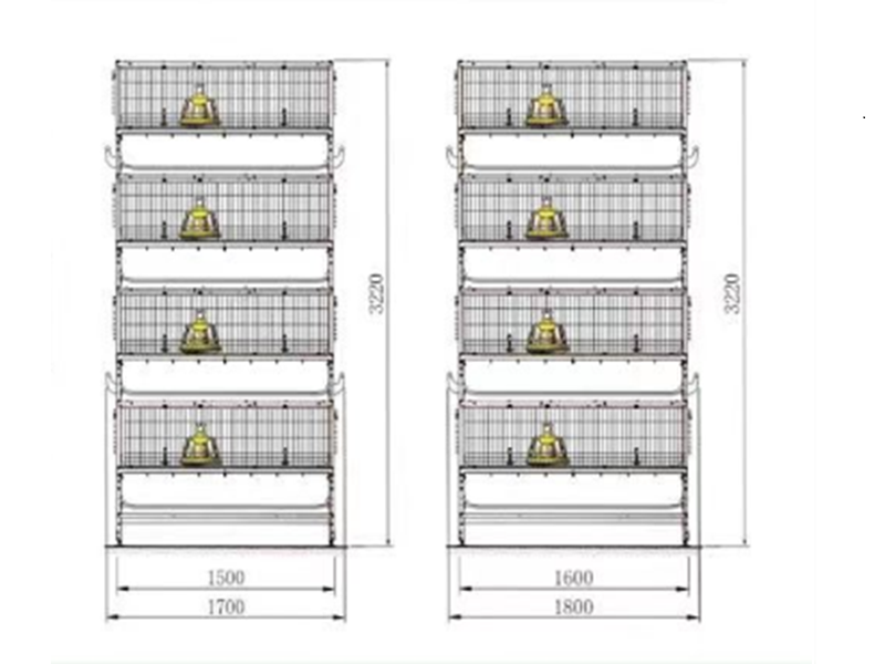 Practical Layer Pullet Cage Systems for Rearing Hens