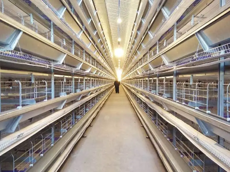 Automatic H Type Layer Cage